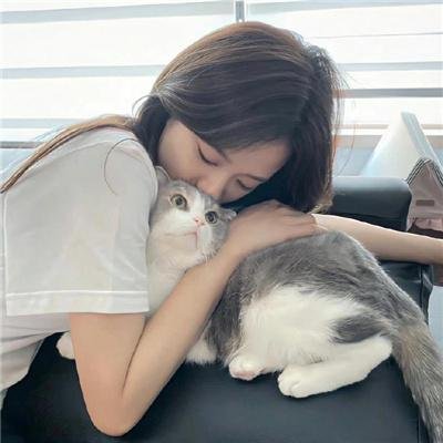 鲨鱼：风暴